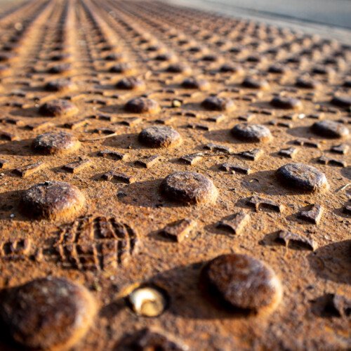 NEW PHOTOS! Leftovers from 2020